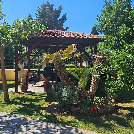 Ryan's House * Vergia